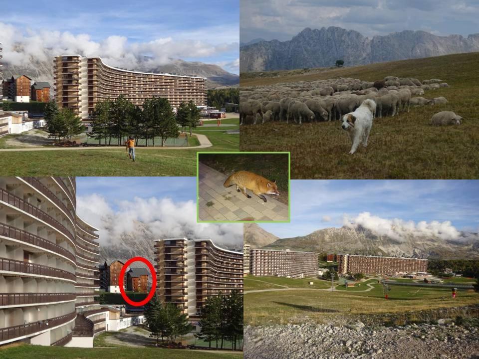 Appartement 8-10 Personnes Superdevoluy Hautes Alpes Rez De Chaussee Vue Panoramique 3 Chambres Saint-Étienne-en-Dévoluy 外观 照片