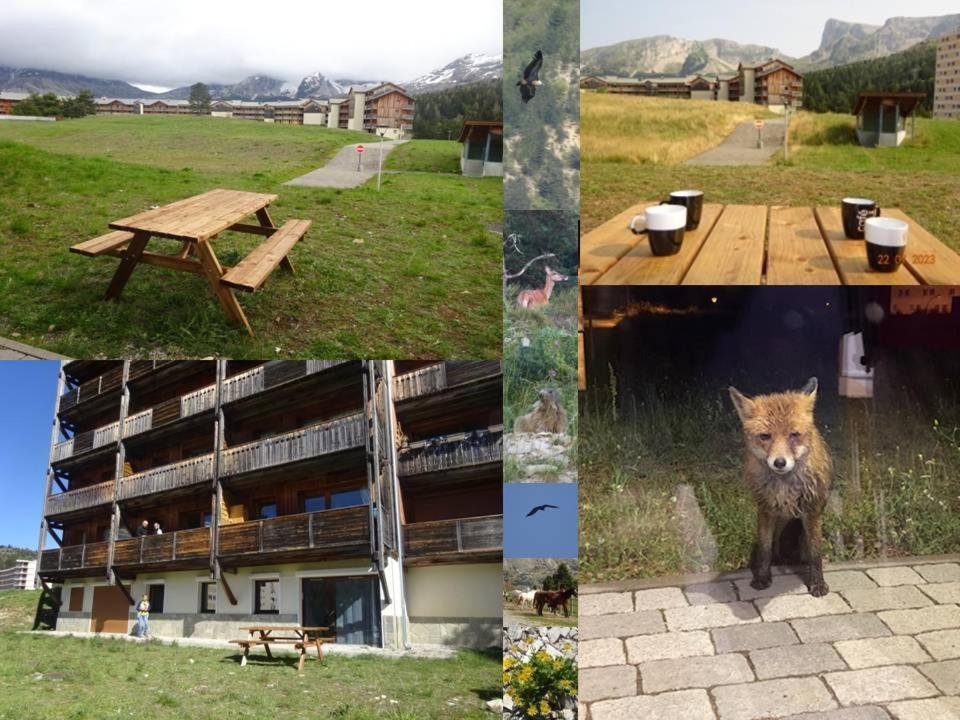 Appartement 8-10 Personnes Superdevoluy Hautes Alpes Rez De Chaussee Vue Panoramique 3 Chambres Saint-Étienne-en-Dévoluy 外观 照片